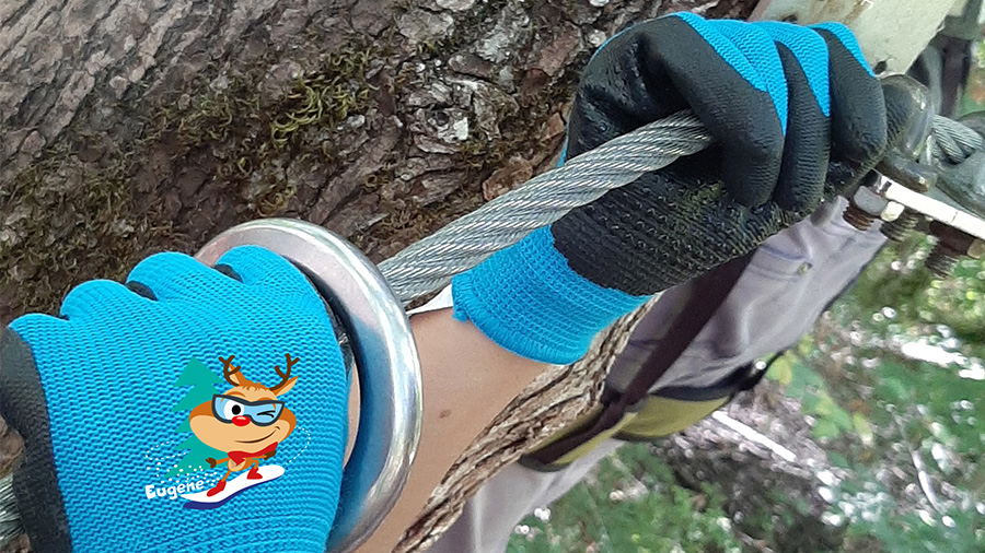 Gants de protection Rostaing Eugene Gants de protection Rostaing Eugene